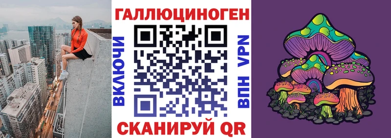 Галлюциногенные грибы Psilocybe  Горячеводский 